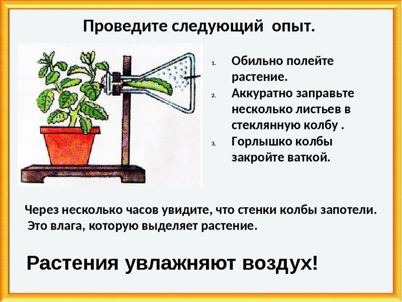 В каком случае человек проводит опыт. В каком случае человек проводит опыт