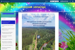 Interactive Learning Pages | netboard.me