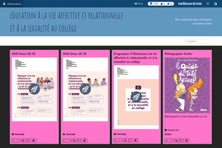 Interactive Learning Pages | netboard.me
