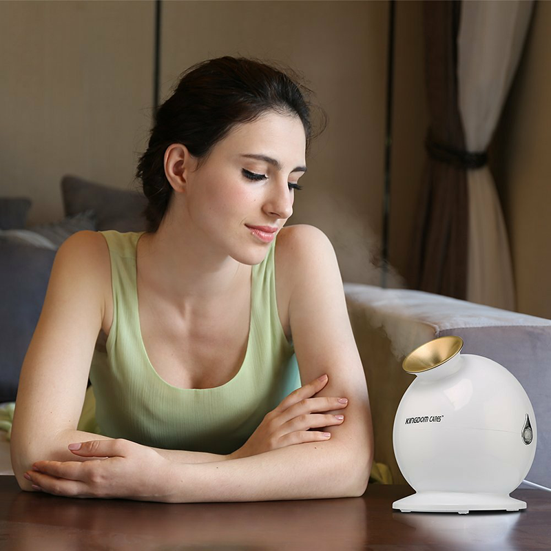 10 Best Face Sauna Facial Steamers Reviews 2017