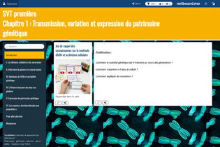 Interactive Learning Pages | netboard.me