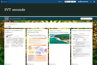 Interactive Learning Pages | netboard.me