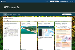 Interactive Learning Pages | netboard.me