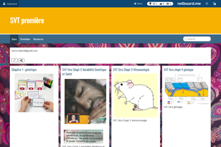 Interactive Learning Pages | netboard.me
