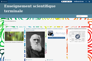 Interactive Learning Pages | netboard.me