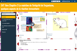 Interactive Learning Pages | netboard.me