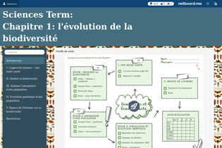 Interactive Learning Pages | netboard.me