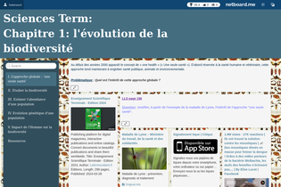 Interactive Learning Pages | netboard.me