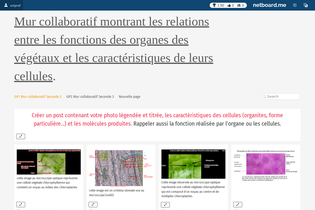 Interactive Learning Pages | netboard.me