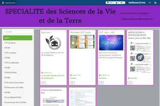 Interactive Learning Pages | netboard.me