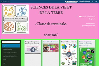 Interactive Learning Pages | netboard.me