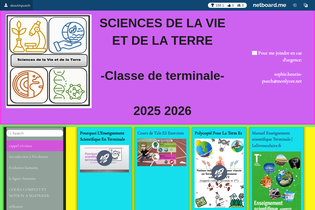 Interactive Learning Pages | netboard.me
