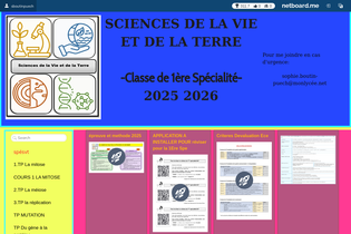 Interactive Learning Pages | netboard.me