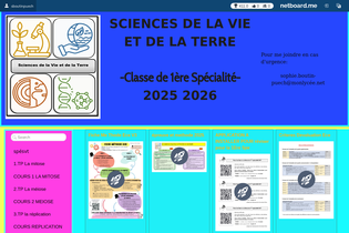 Interactive Learning Pages | netboard.me