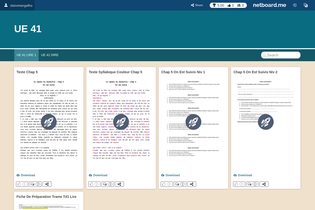 Interactive Learning Pages | netboard.me