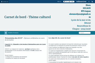 Interactive Learning Pages | netboard.me