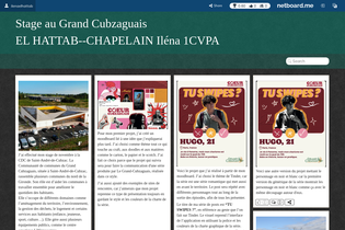 Interactive Learning Pages | netboard.me