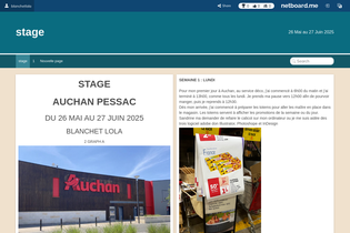 Interactive Learning Pages | netboard.me