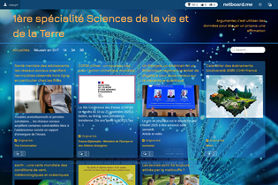 Interactive Learning Pages | netboard.me