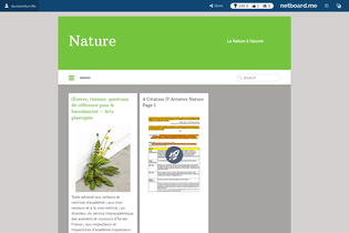 Interactive Learning Pages | netboard.me