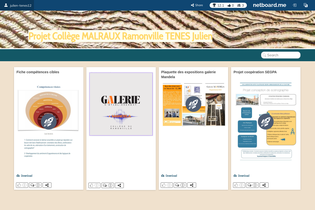 Interactive Learning Pages | netboard.me