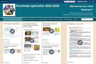 Interactive Learning Pages | netboard.me