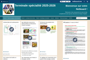 Interactive Learning Pages | netboard.me