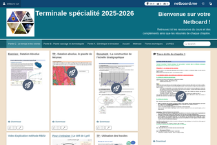 Interactive Learning Pages | netboard.me