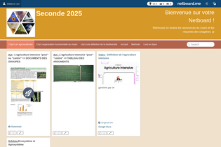 Interactive Learning Pages | netboard.me