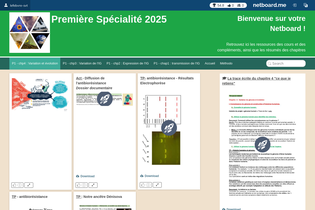 Interactive Learning Pages | netboard.me