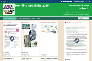 Interactive Learning Pages | netboard.me