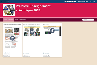 Interactive Learning Pages | netboard.me