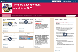 Interactive Learning Pages | netboard.me