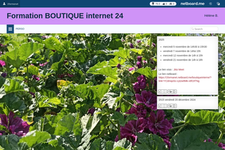 Interactive Learning Pages | netboard.me
