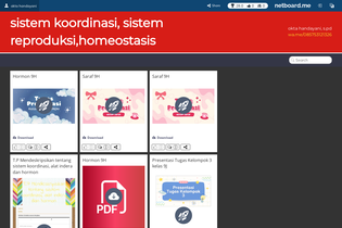 Interactive Learning Pages | netboard.me